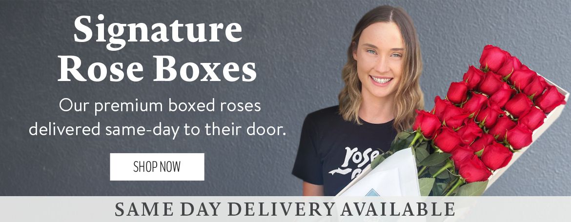 Signature Rose Boxes