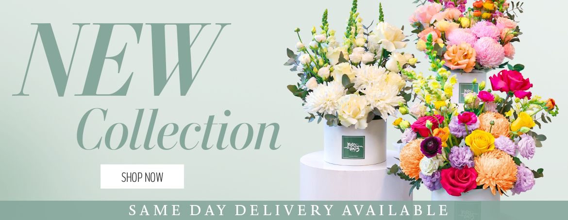 New Hatboxes