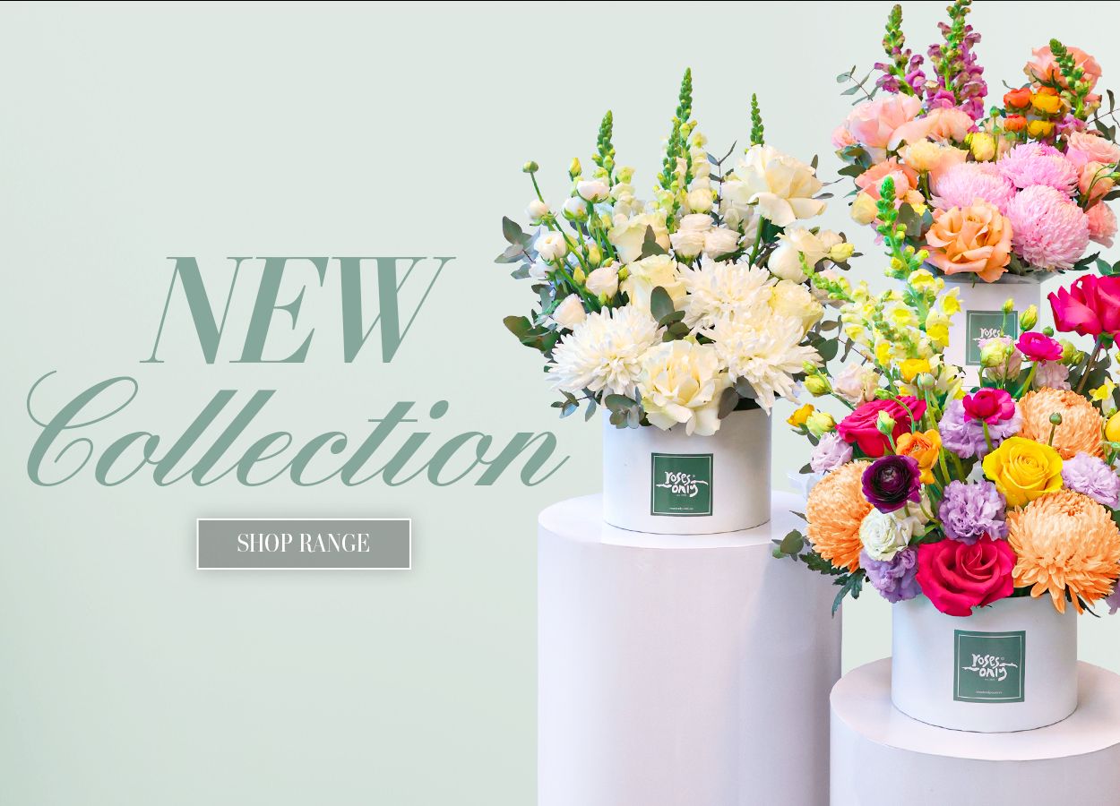 New Hatboxes