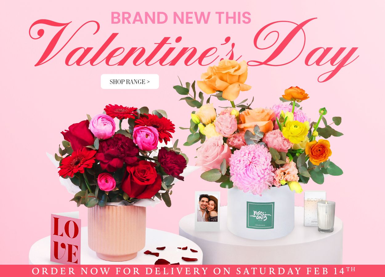 Valentine's Day New Range