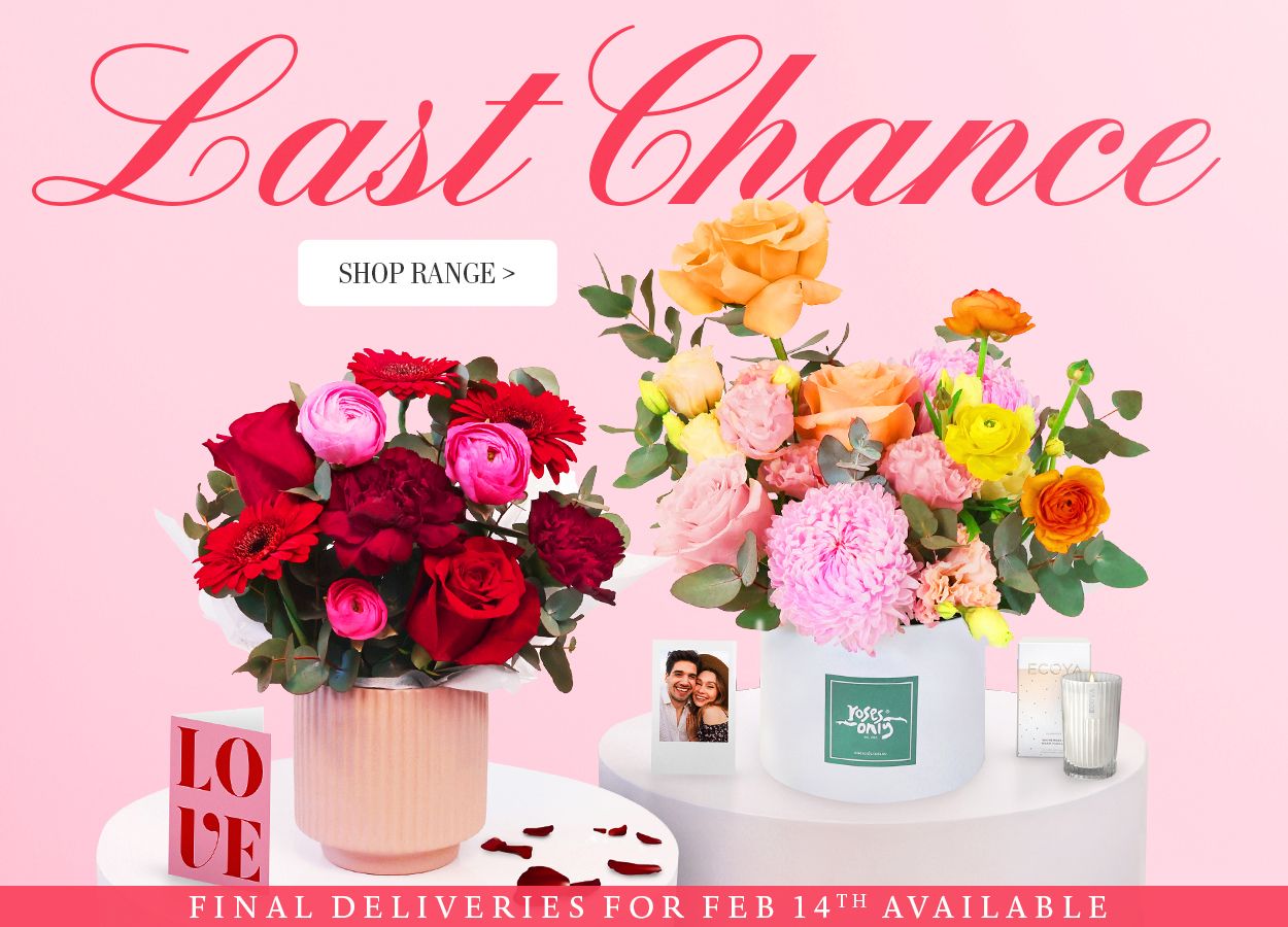 Valentine's Day New Range