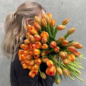 Tulip Bouquet