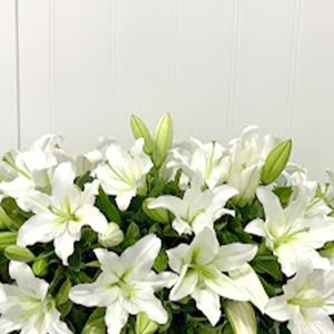 White Lily Flower Casket Arrangement