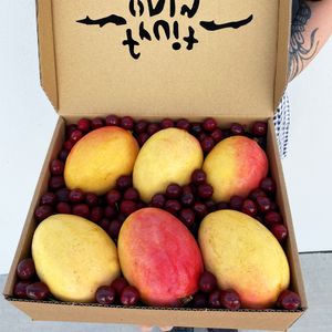 Mango and Cherries