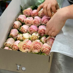 Pink Roses Gift Box