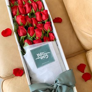 Valentine's Day Red Rose Gift Box