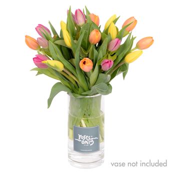 Tulip Bouquet Mixed 20 Flowers