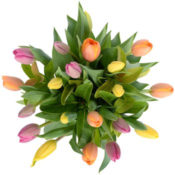 Tulip Bouquet Mixed 20 in Vase Flowers