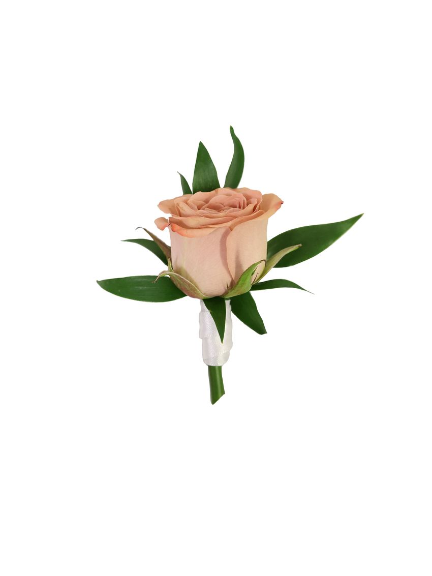 Cappuccino Buttonhole