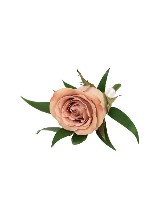 Cappuccino Buttonhole Flowers