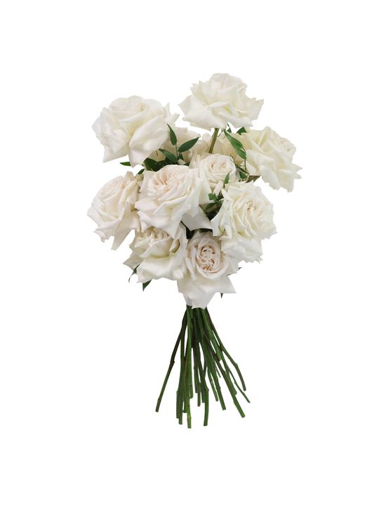 Blanc Grande Flowers