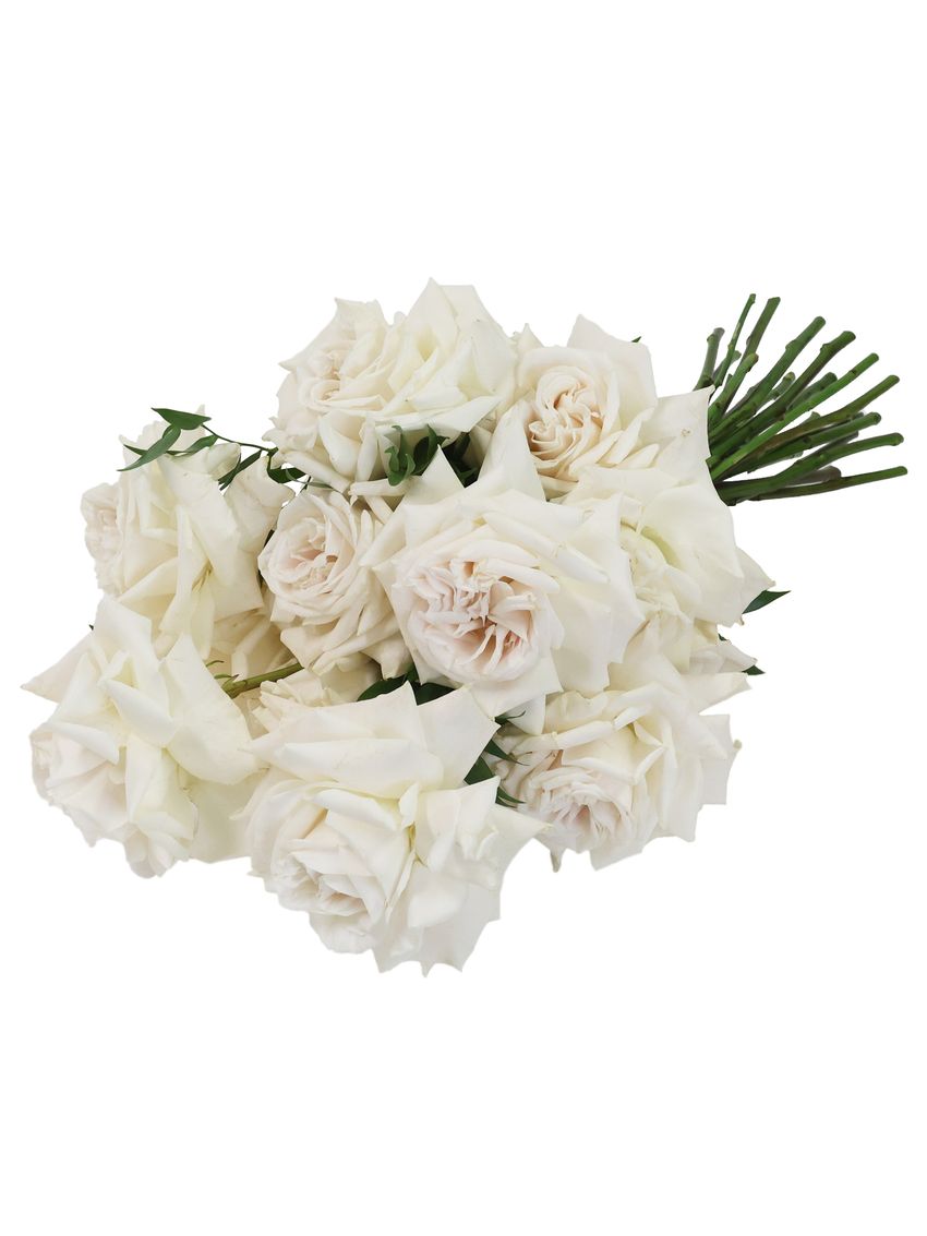Blanc Grande