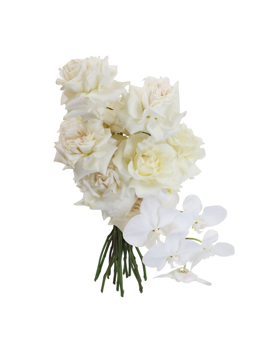 Blanc Luxe