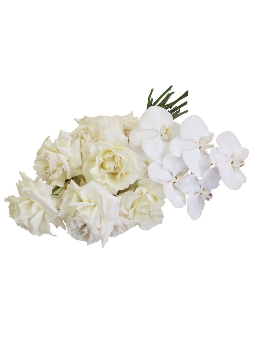 Blanc Luxe