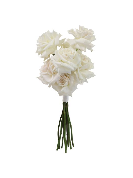 Blanc Petite Flowers