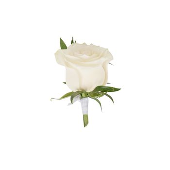 Blanc Rose Buttonhole Flowers
