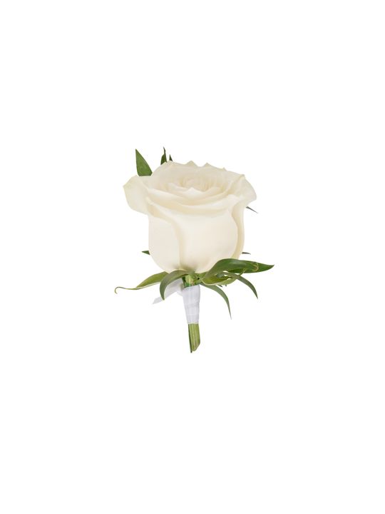 Blanc Rose Buttonhole Flowers