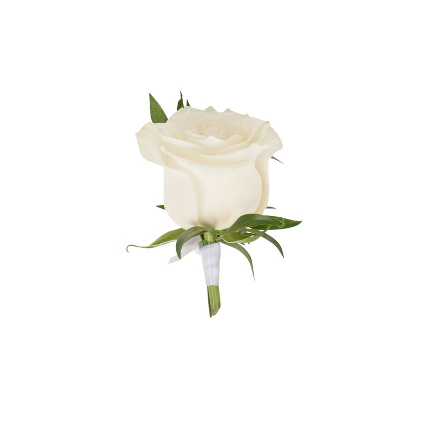 Blanc Rose Buttonhole