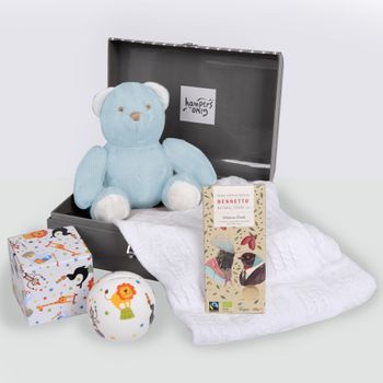 Blueberry Cuddles Baby Boy Gift Hamper