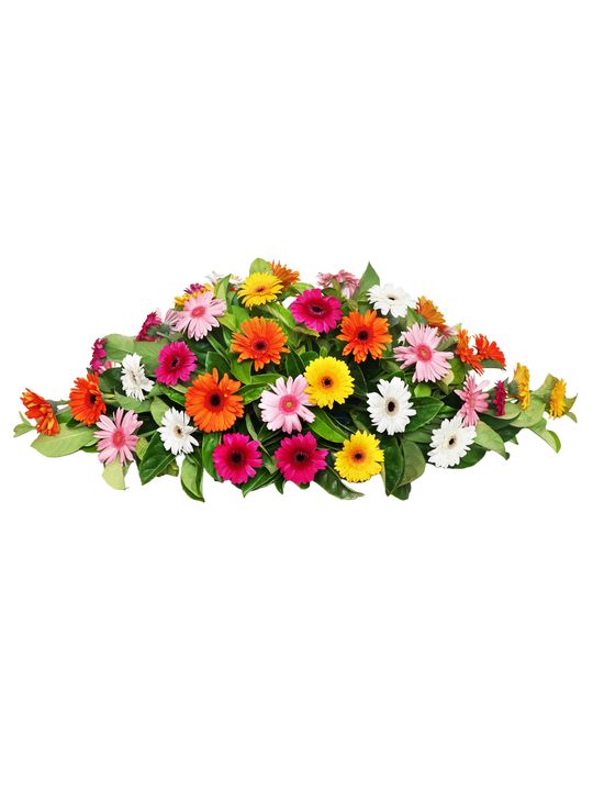 Vibrant Garden Petite Flowers