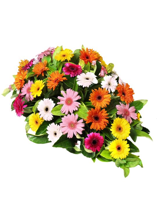 Vibrant Garden Petite Flowers