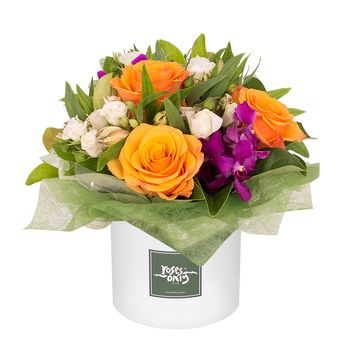 Bright Radiance Hatbox - Petite Flowers
