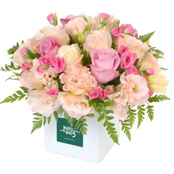 Country Blooms NBCF Flowers