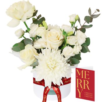 Daydream Christmas Bundle Flowers