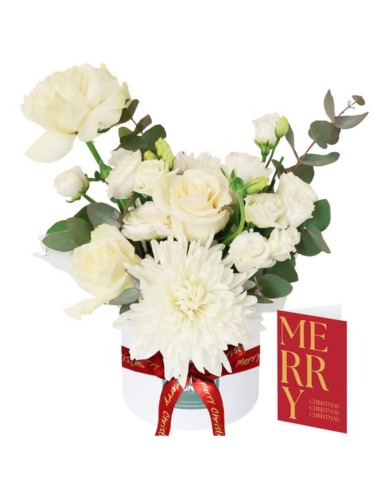 Daydream Christmas Bundle Flowers