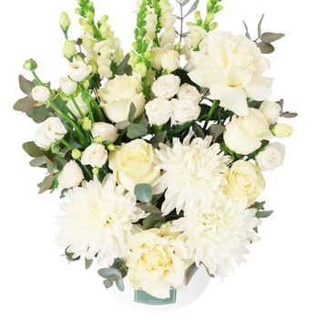 Daydream Hatbox Premium Flowers