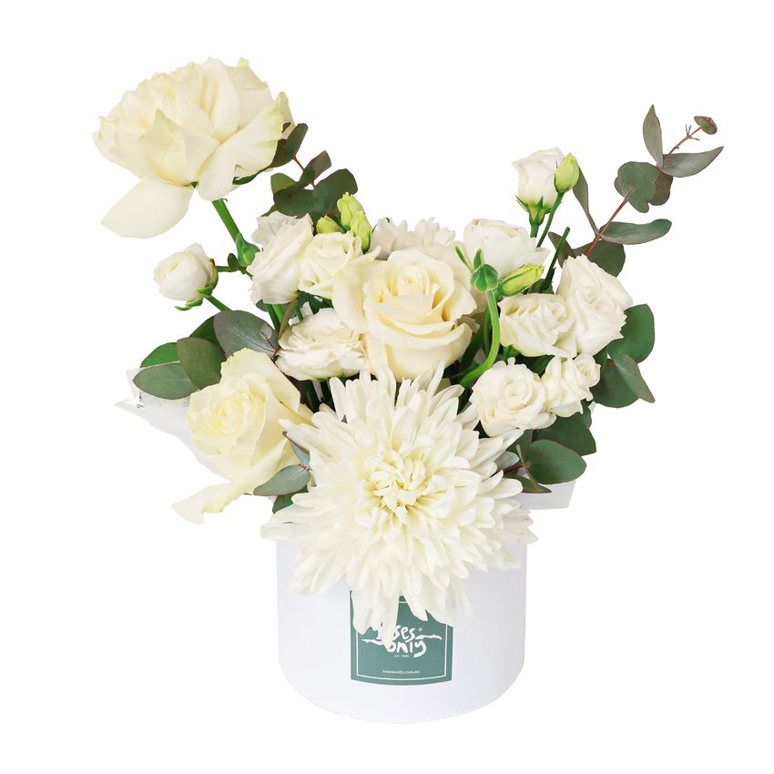 Daydream Hatbox Petite