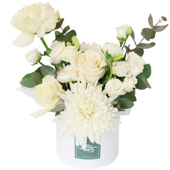 Daydream Hatbox Petite Flowers