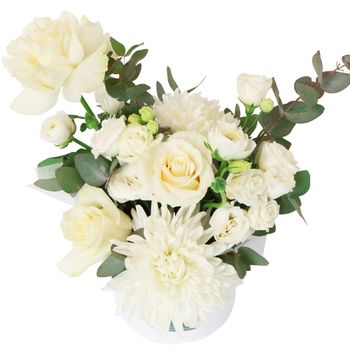 Daydream Hatbox Petite Flowers