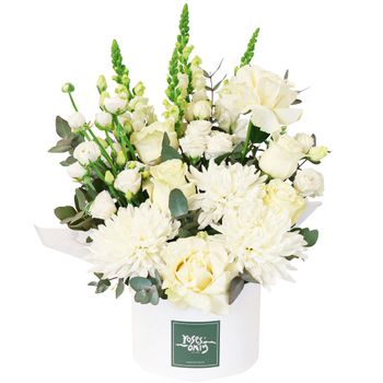 Daydream Hatbox Premium Flowers