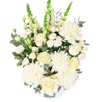 Daydream Hatbox Premium Flowers