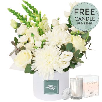 Daydream Large with FREE Candle Flowers