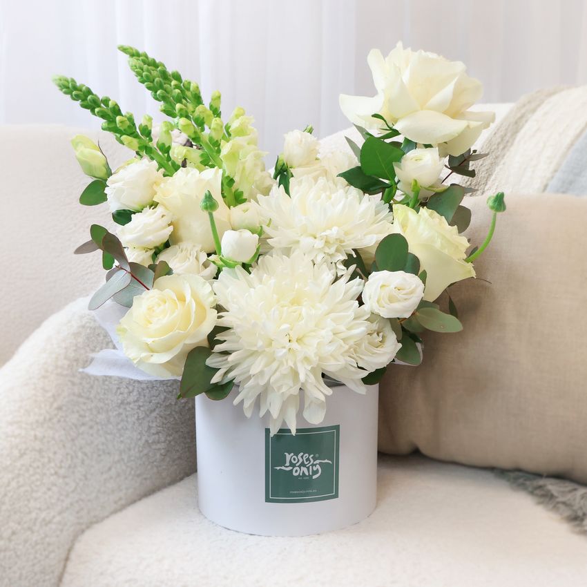 Daydream Large with FREE Candle
