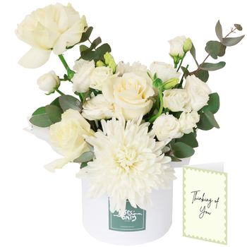 Daydream with Sympathy Card Flowers