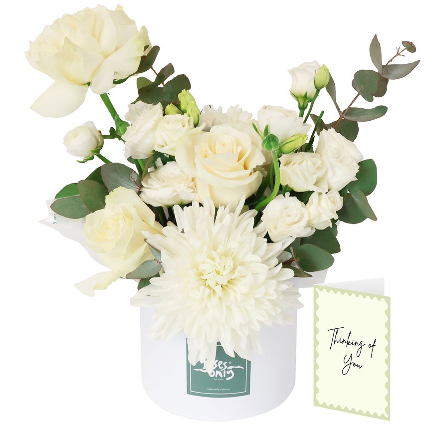 Daydream with Sympathy Card