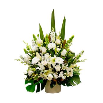 Tranquility Service Arrangement Large Flowers