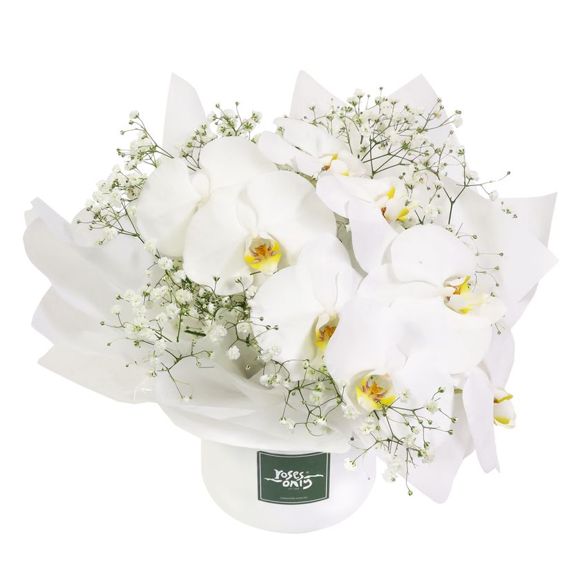 Luxury White Orchids Petite