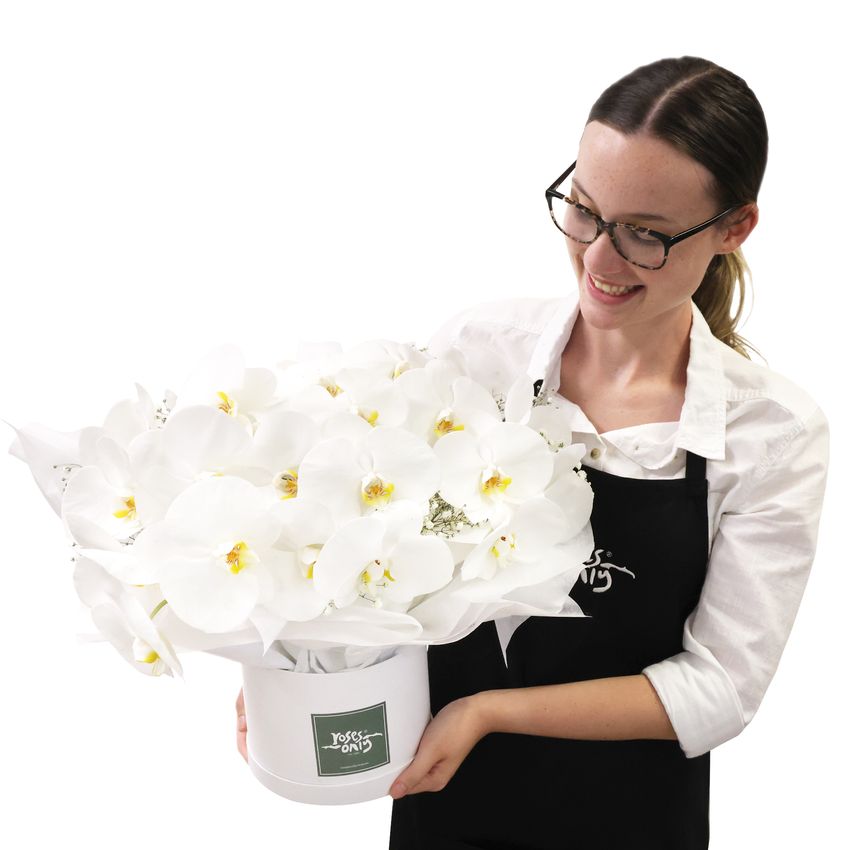 Luxury White Orchids Premium