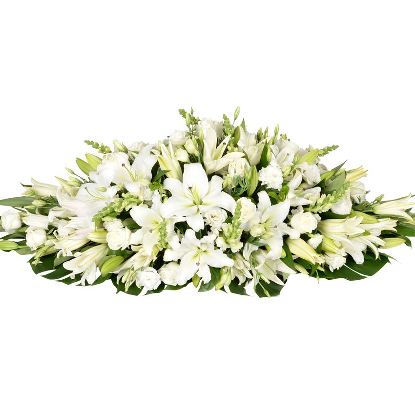 Lily Garden White Premium