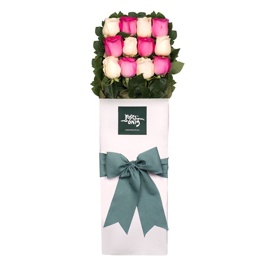 Long Stemmed Roses Gift Box Pink & White 12
