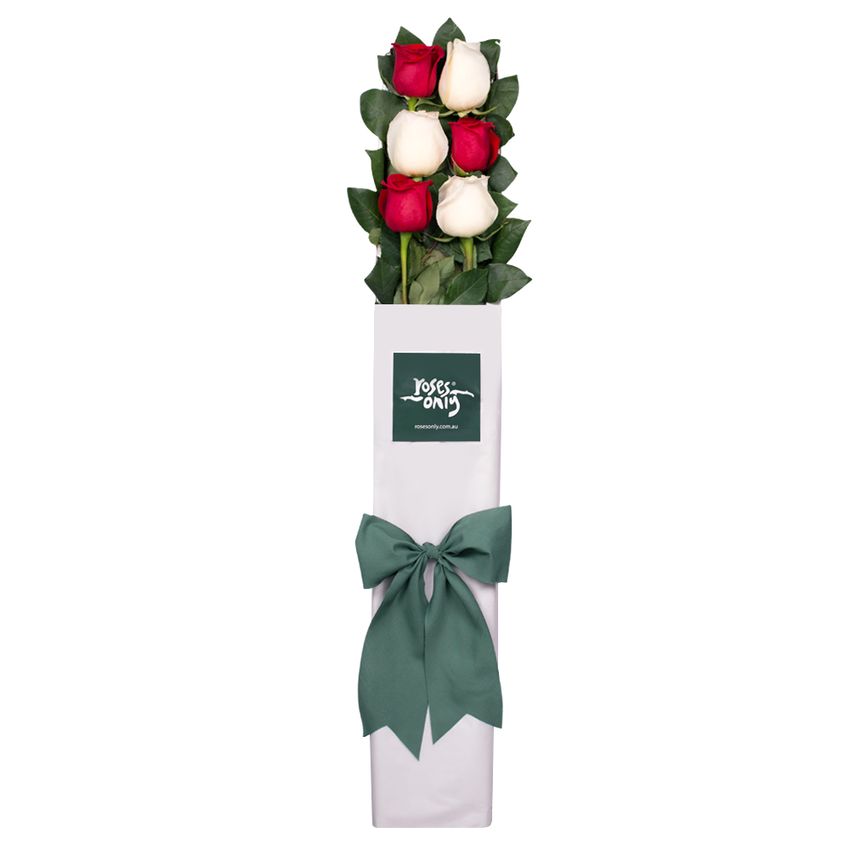 Long Stemmed Roses Gift Box Red & White 6