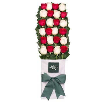 Long Stemmed Roses Gift Box Red & White 24 Flowers