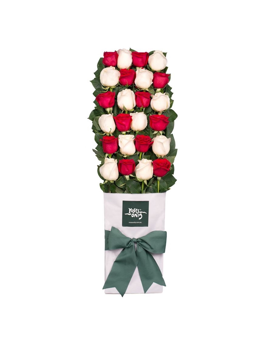 Long Stemmed Roses Gift Box Red & White 24