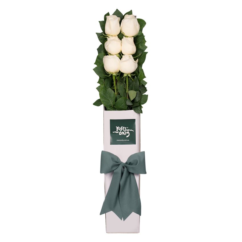 Long Stemmed Roses Gift Box White 6