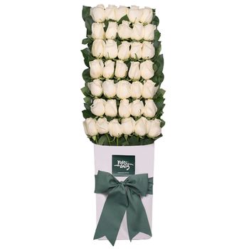 Long Stemmed Roses Gift Box White 36 Flowers