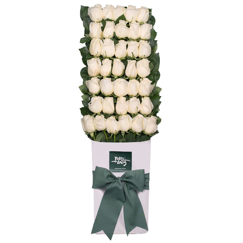 Long Stemmed Roses Gift Box White 36